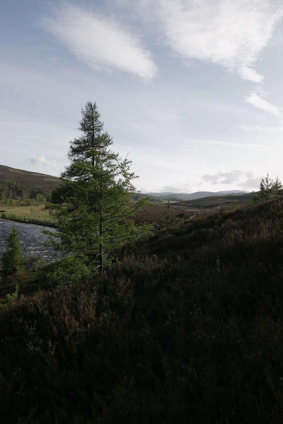 Huswell - Gairnshiel Lodge - Unique & Exclusive Lodge Next To The Castle Ballater Exterior photo
